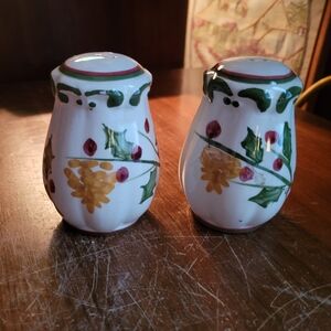 Vintage Handpainted Salt & Pepper Shakers